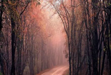 勇士今天比赛结果如何？直播里都有哪些精彩瞬间？