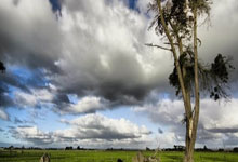 2022年世界杯四强都有谁？他们的晋级之路和赛场表现有何亮点？