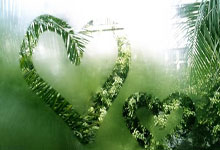 荷兰vs法国直播看点有哪些？这场欧国联对决值得关注的点都在这！