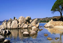 湖人新赛季能重返季后赛吗？阵容调整与竞争形势全解析